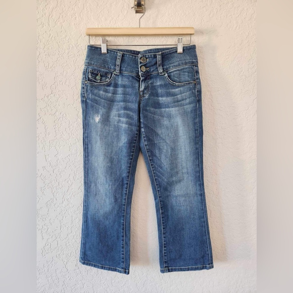 Hard Tail Y2K Jeans low rise size 29